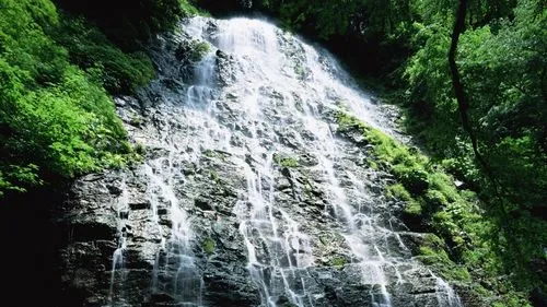 无人化高端